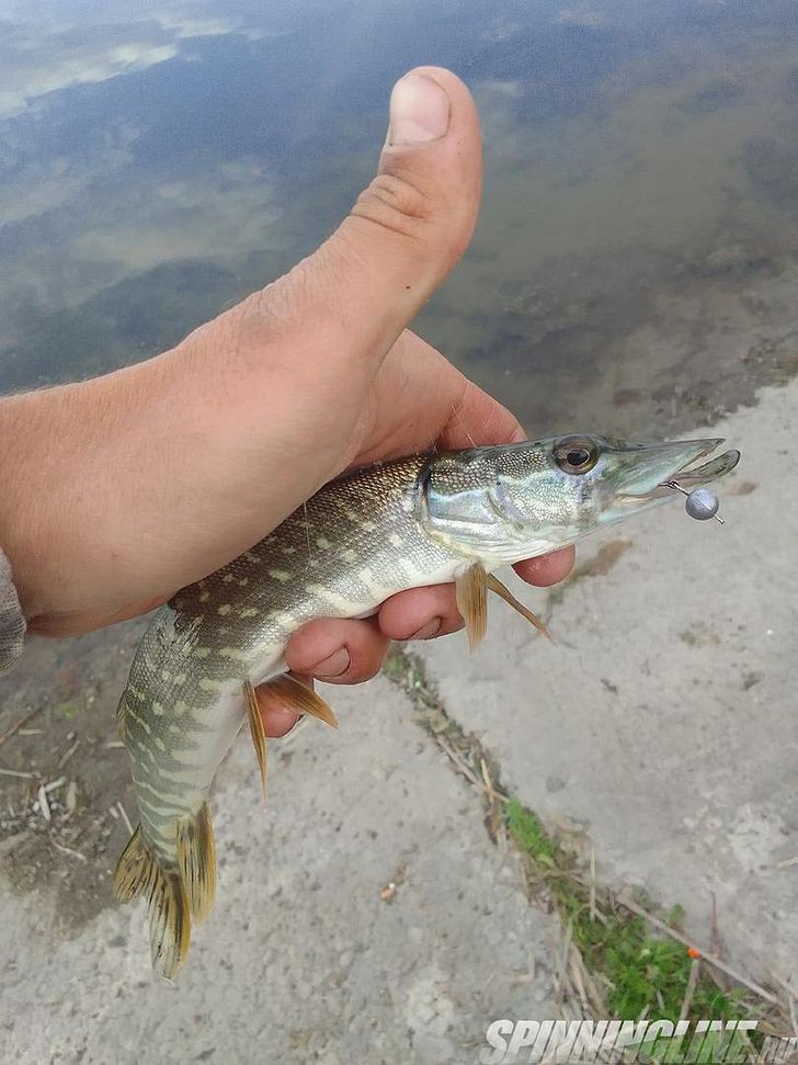 Есть очень интересный вид ловли рыбы на достаточно маленькие размеры, и формы приманки, и оснастки